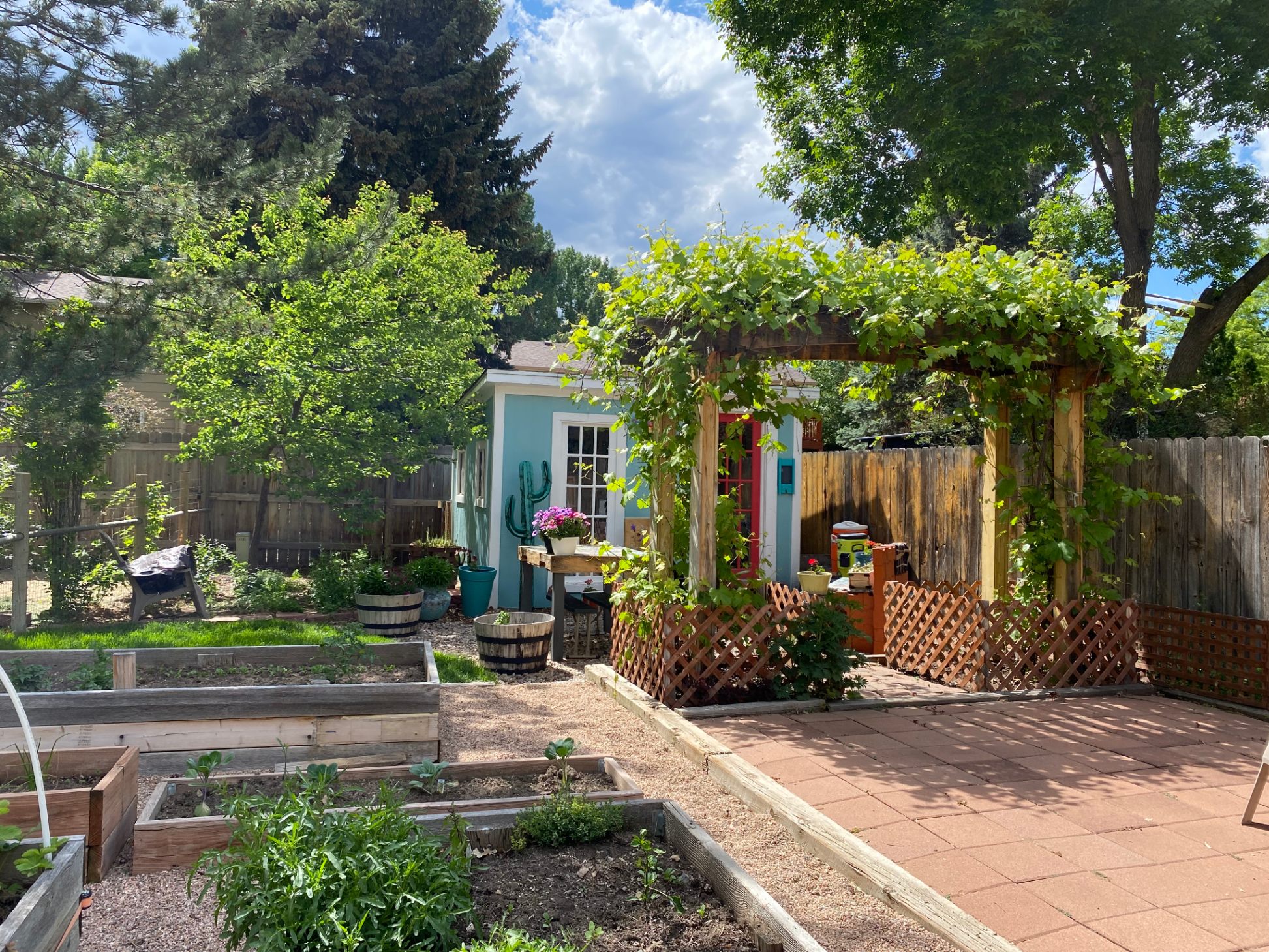 Dissolve Art Studio in spring, Fort Collins, Colorado